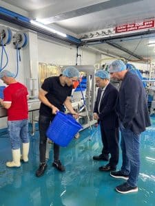 vacuum glas kesbeke 2 vacuum glas kesbeke 2